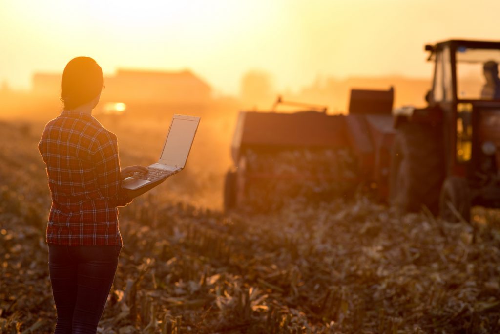 El software de Manchasoft ha conseguido revolucionar el sector agrícola gracias a sus desarrollos específicos para este sector. Consigue que las empresas puedan aprovechar al máximo las posibilidades de la digitalización.